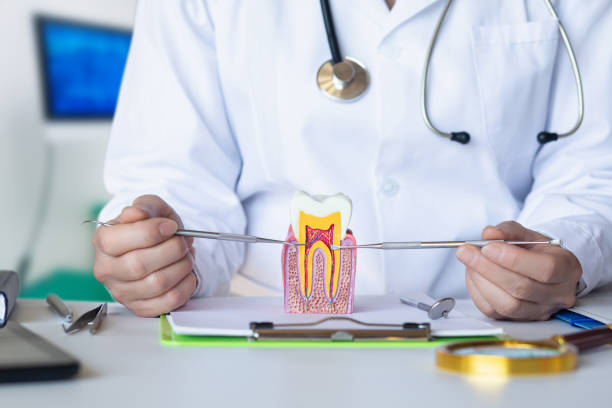 Best Emergency Dentist for Special Needs Patients in Norway, MI